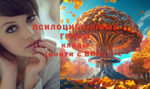 гашик Майский