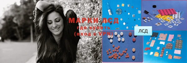 гашик Майский
