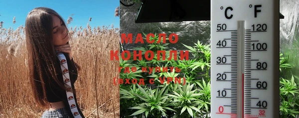 гашик Майский