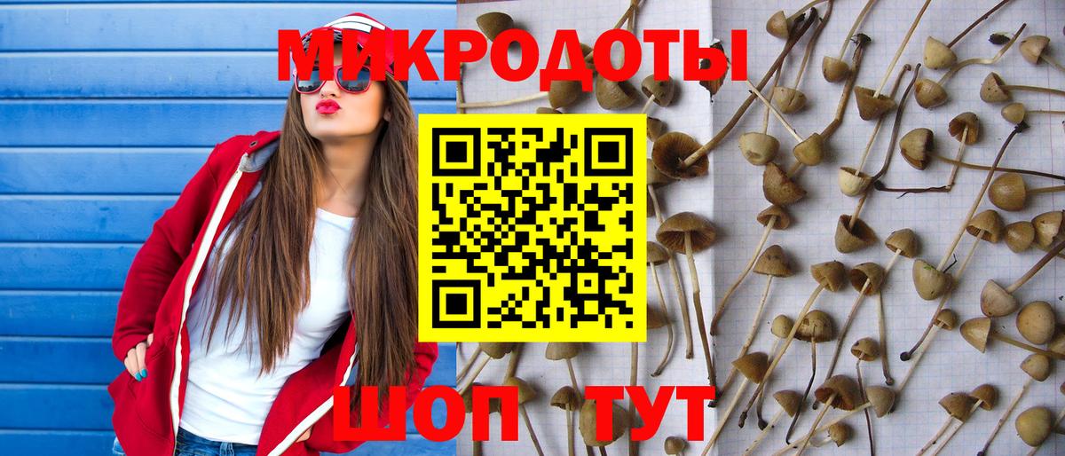 Галлюциногенные грибы GOLDEN TEACHER  Вход с VPN  Россия 