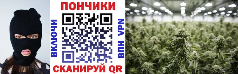 сколько стоит  Севастополь  Марихуана Ganja 